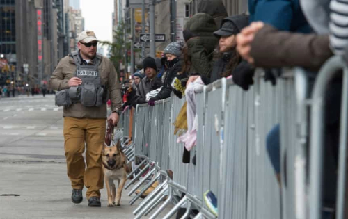 Considerations for a Crowd Management Strategy