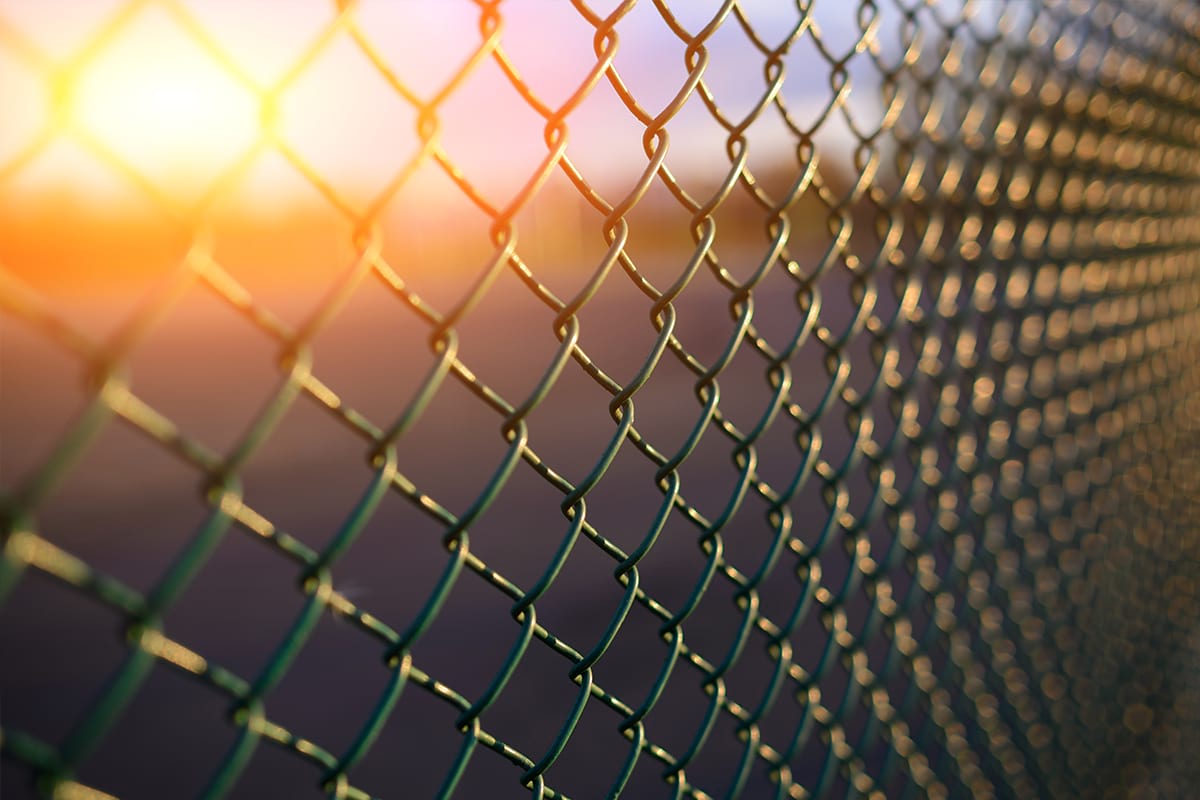 Create the Ultimate Fence Line: 9 Tips from Experts